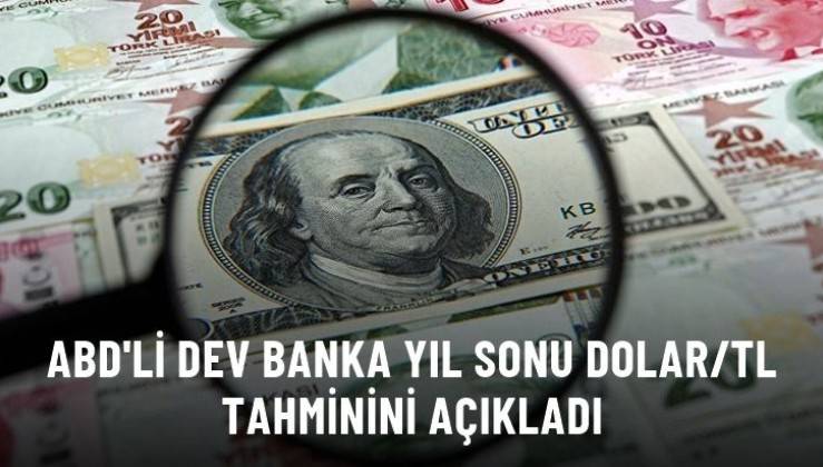 Abd Li Banka Goldman Sachs N Y L Sonu Dolar Tahmini Tl Oldu