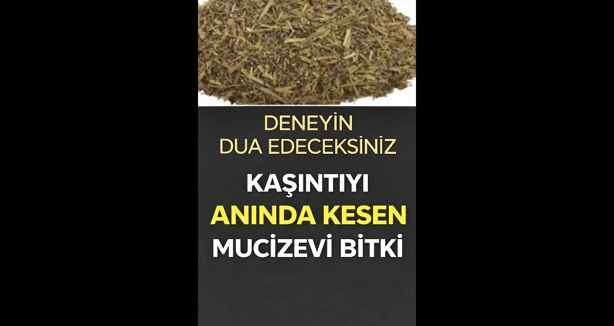 Kunc Kesen Shablon Kaşıntıyı Anında Kesen Mucize Bitki . BİTKİ AYRINTI YOR'UMDA