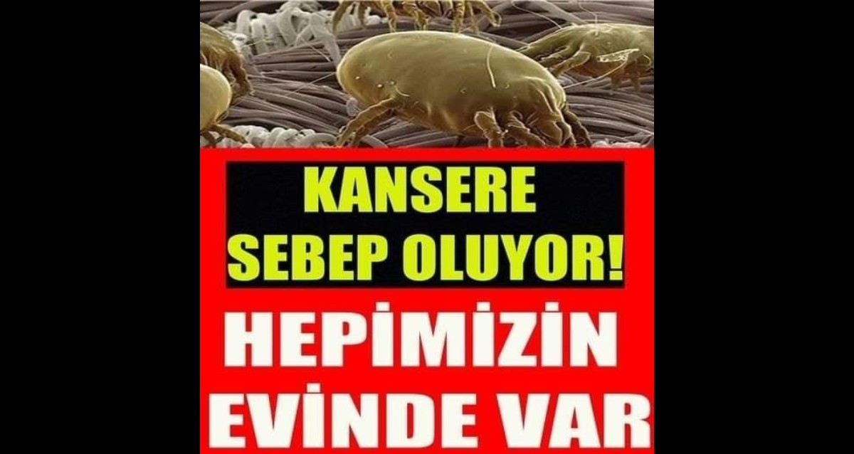 KANSERE SEBEP OLUYOR HEPİMİZİN EVİNDE VAR